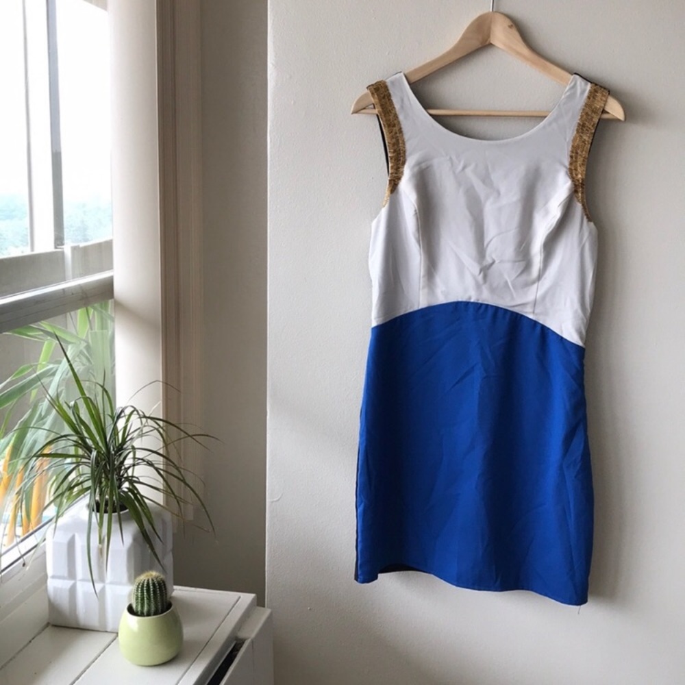 Lush Color-block Beaded Dress